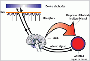 Scenar Healing Process